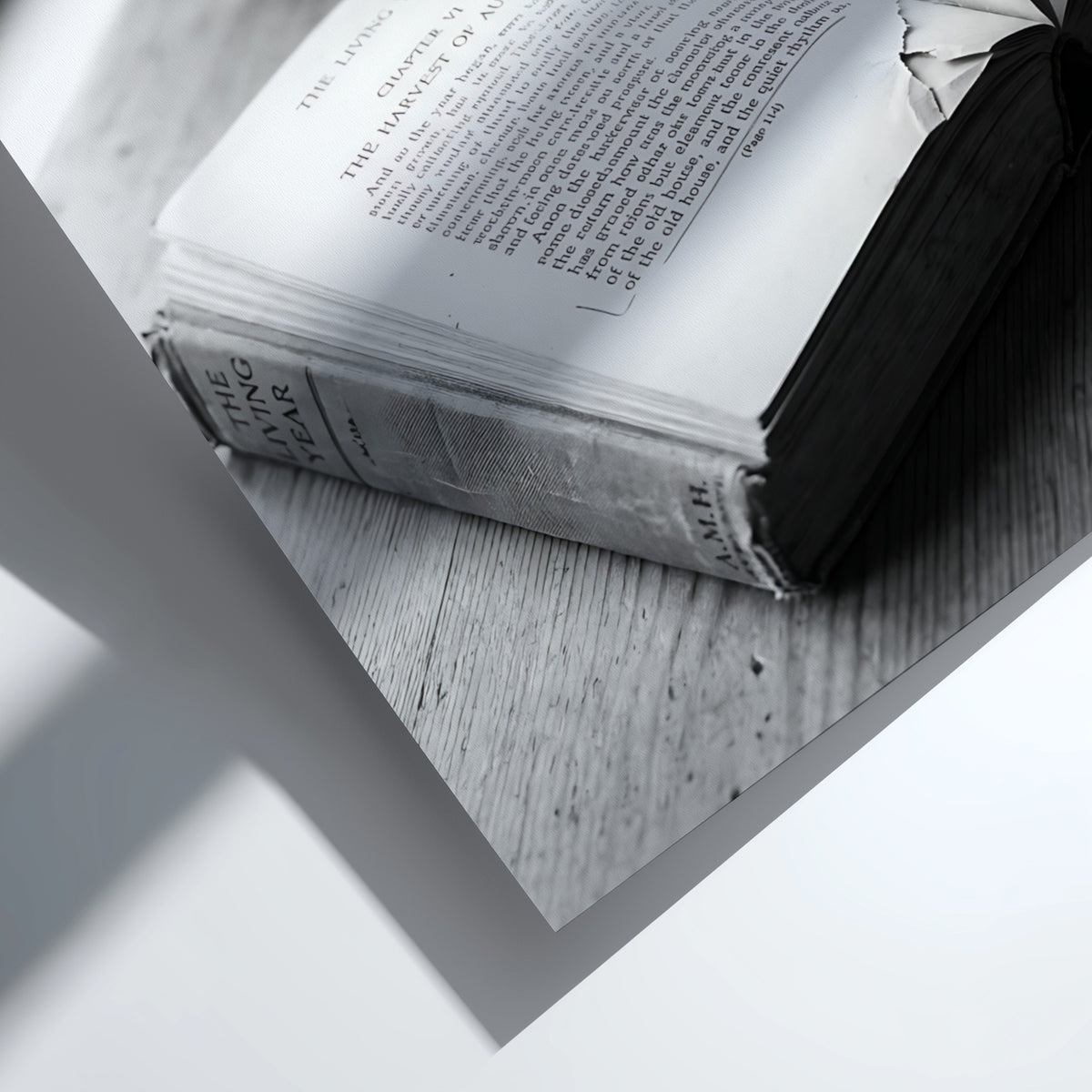 Black and white wall decor showing an open book with pages turning on a wooden surface with soft natural light
