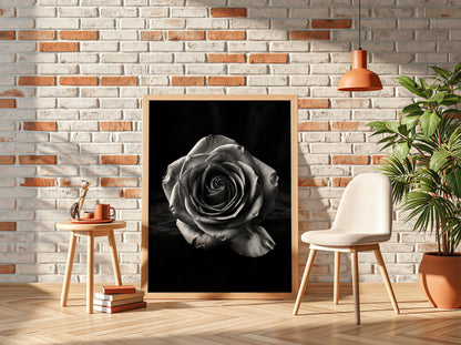 Monochrome wall decor featuring a detailed open rose on black velvet background with soft petal textures