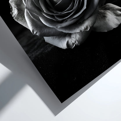 Monochrome wall decor featuring a detailed open rose on black velvet background with soft petal textures