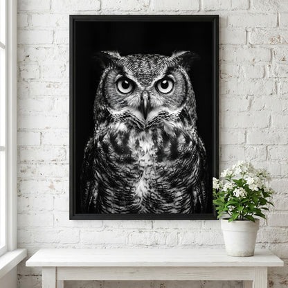 black and white owl portrait poster with detailed feathers and piercing eyes on dark background