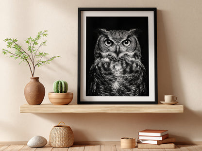 black and white owl portrait poster with detailed feathers and piercing eyes on dark background