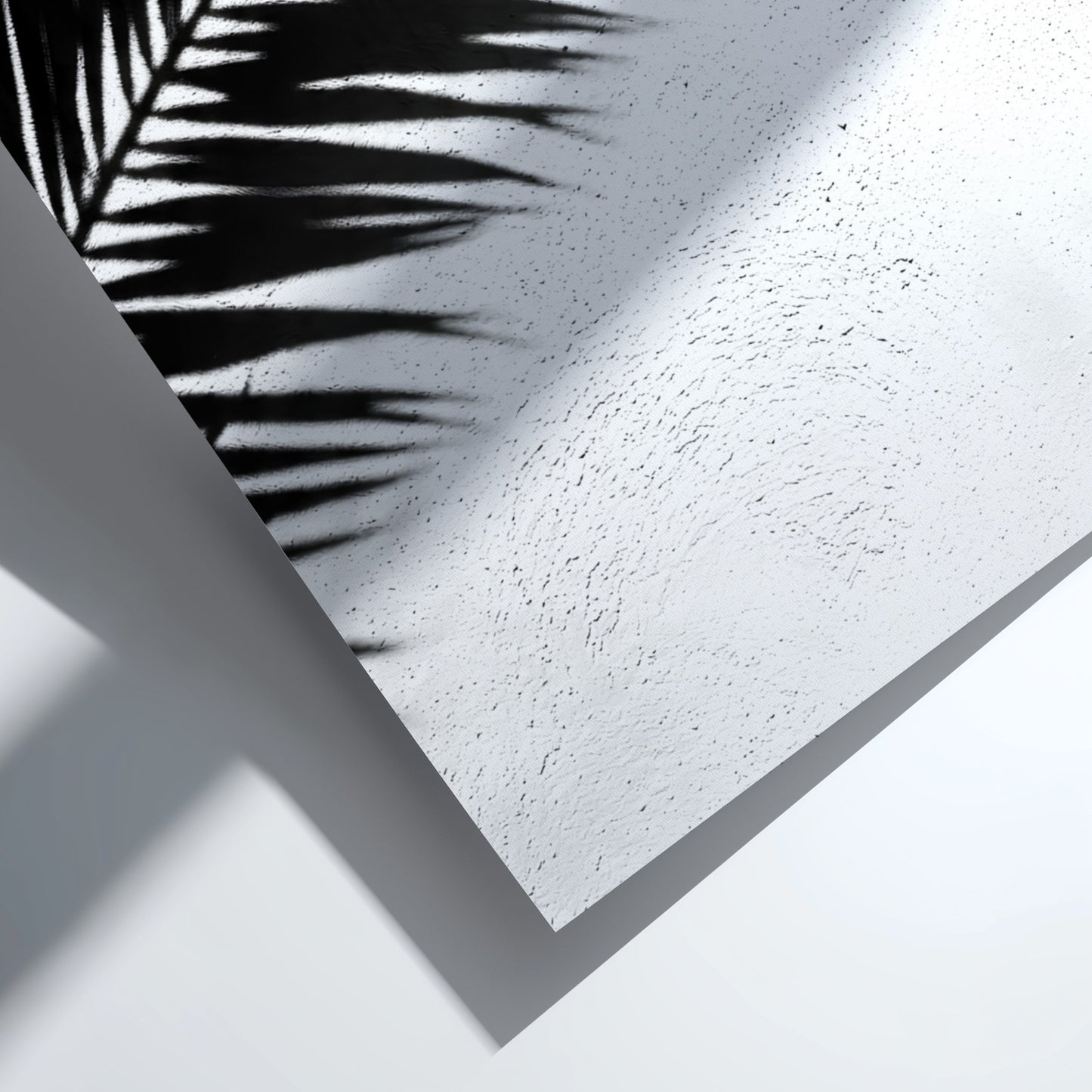 Wall decor poster with black palm frond shadows on white stucco textured background in minimalist style