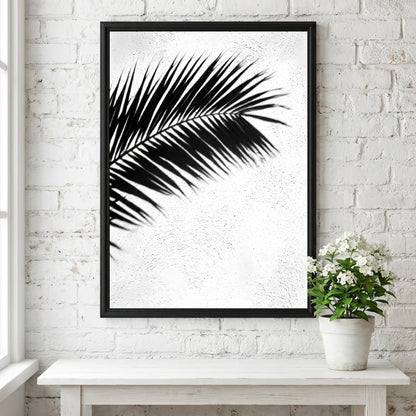 Wall decor poster with black palm frond shadows on white stucco textured background in minimalist style