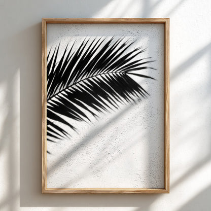 Wall decor poster with black palm frond shadows on white stucco textured background in minimalist style