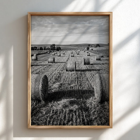 Black and white poster of round hay bales scattered across a textured rural field under cloudy sky