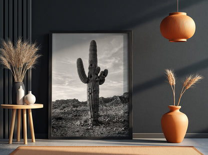 Poster of a monochrome saguaro cactus in desert with rocky ground and cloudy sky
