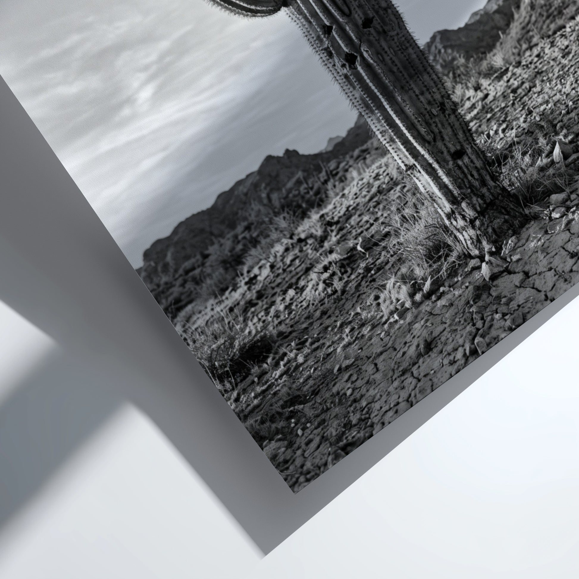 Poster of a monochrome saguaro cactus in desert with rocky ground and cloudy sky