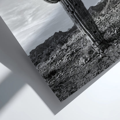 Poster of a monochrome saguaro cactus in desert with rocky ground and cloudy sky