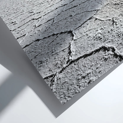 black and white wall decor of salt flat with cracked ground stretching to horizon in minimalist style