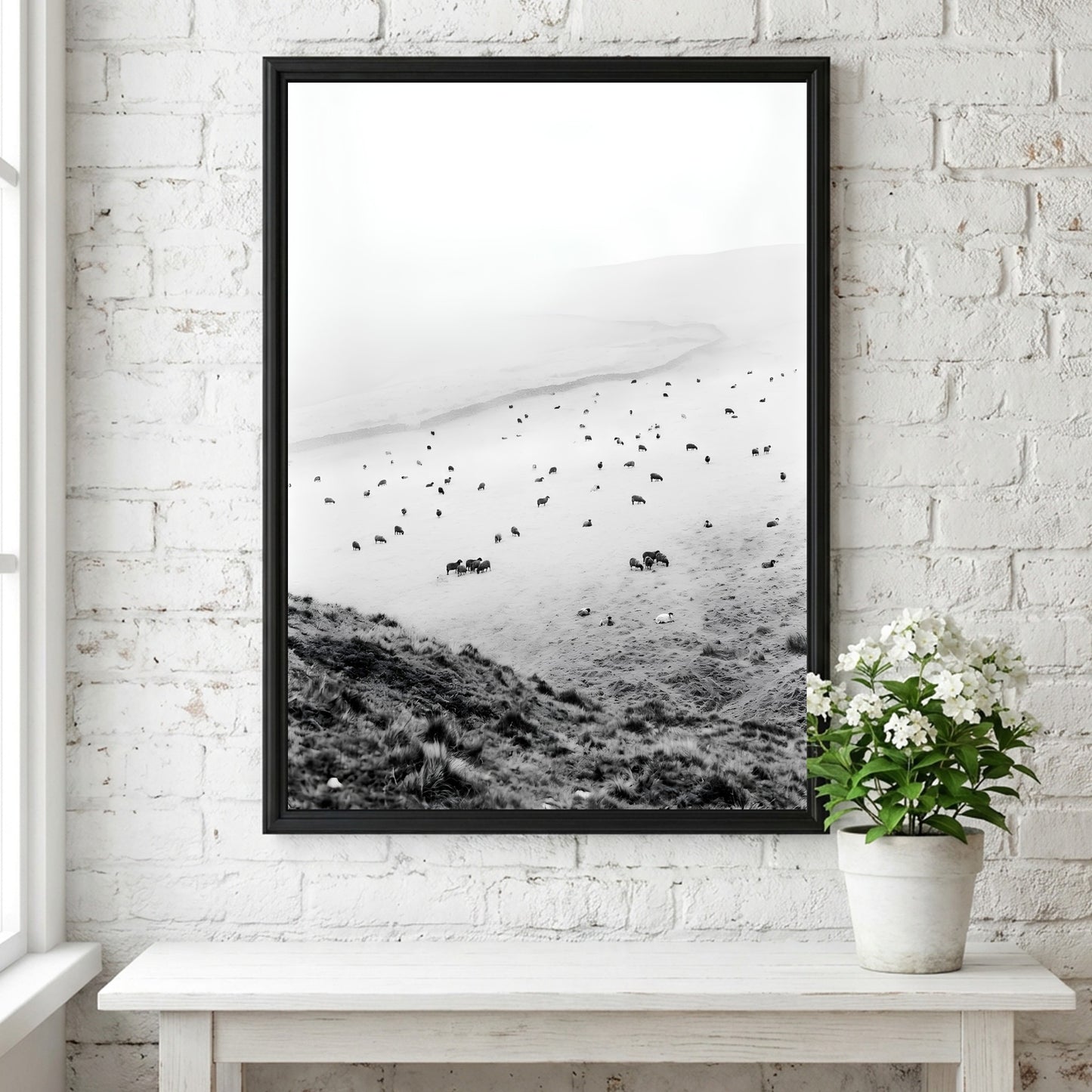 Wall decor black and white photo of sheep grazing on foggy misty hillside landscape