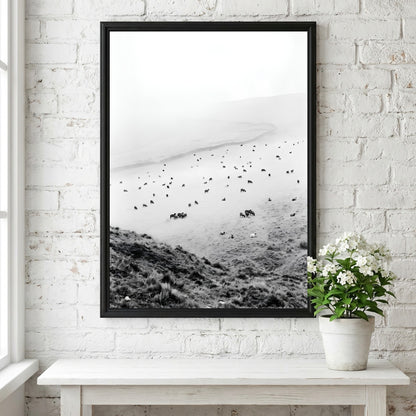 Wall decor black and white photo of sheep grazing on foggy misty hillside landscape