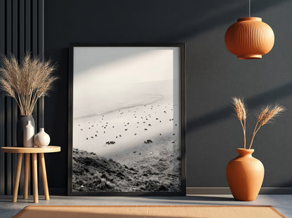 Wall decor black and white photo of sheep grazing on foggy misty hillside landscape