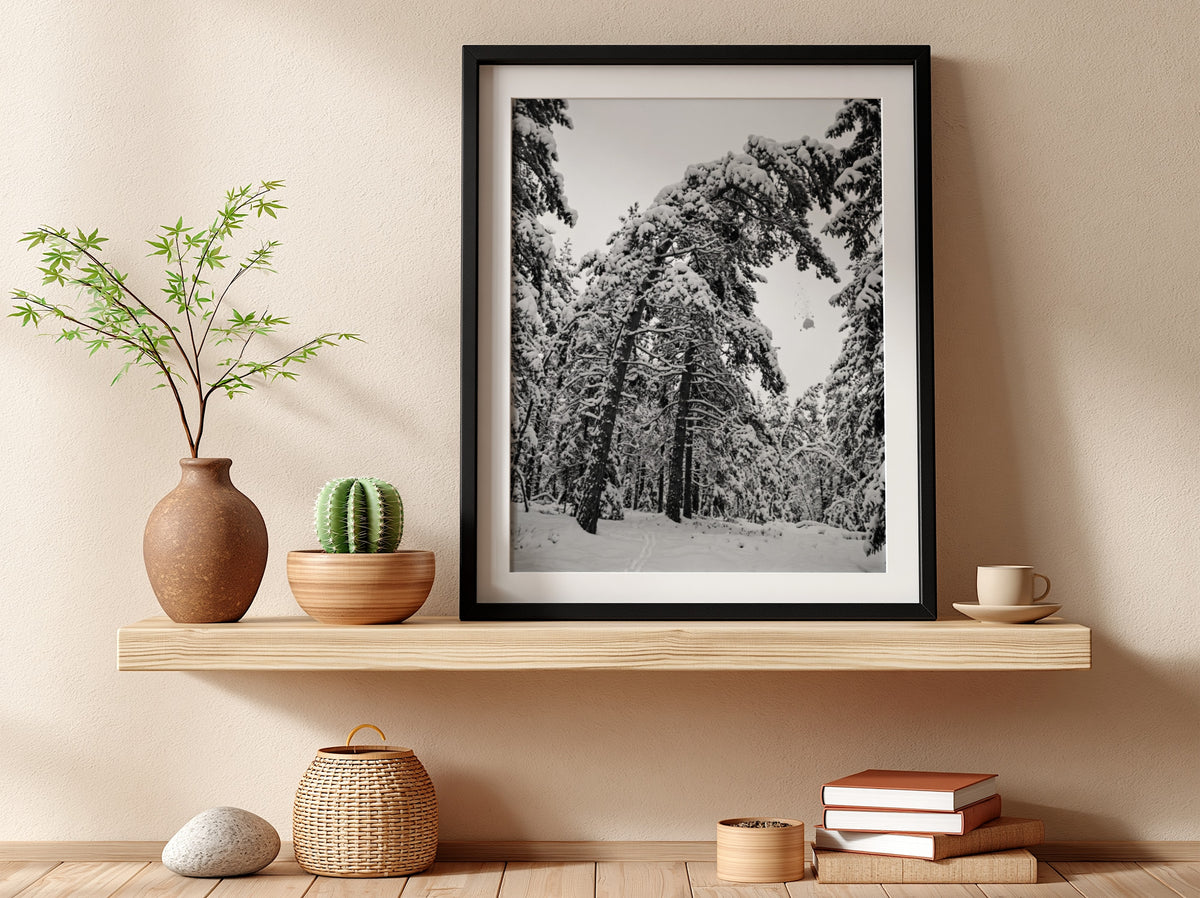 Poster of snow falling from pine trees in monochrome palette with snowy forest landscape