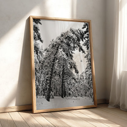 Poster of snow falling from pine trees in monochrome palette with snowy forest landscape