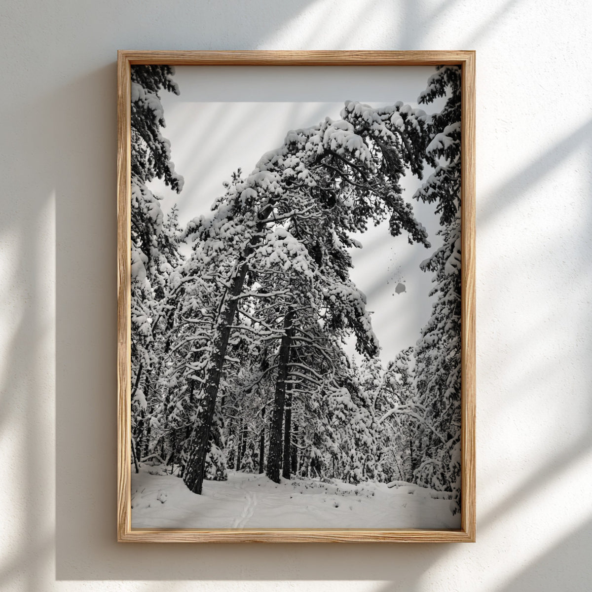 Poster of snow falling from pine trees in monochrome palette with snowy forest landscape