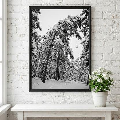 Poster of snow falling from pine trees in monochrome palette with snowy forest landscape