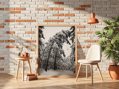 Poster of snow falling from pine trees in monochrome palette with snowy forest landscape