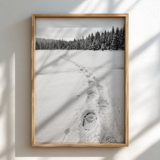 Photographic wall decor showing snowshoe tracks crossing a snowy white field with evergreen trees in