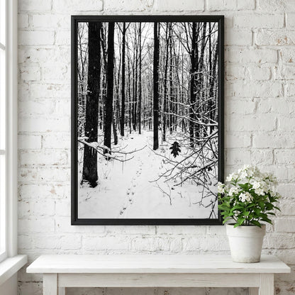 Framed wall decor showing a snowy forest winter landscape with tall bare trees and fresh white snow