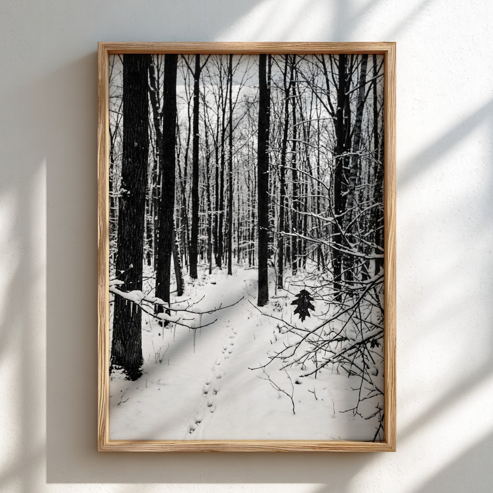 Framed wall decor showing a snowy forest winter landscape with tall bare trees and fresh white snow