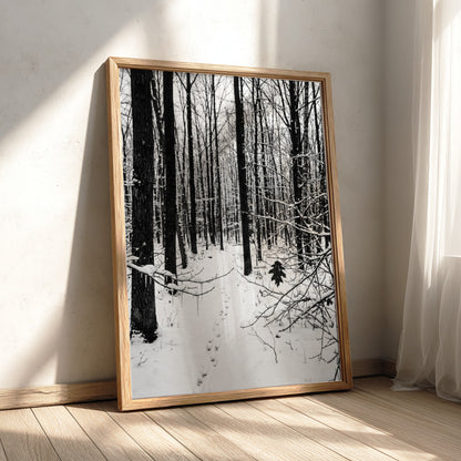 Framed wall decor showing a snowy forest winter landscape with tall bare trees and fresh white snow