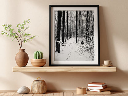 Framed wall decor showing a snowy forest winter landscape with tall bare trees and fresh white snow