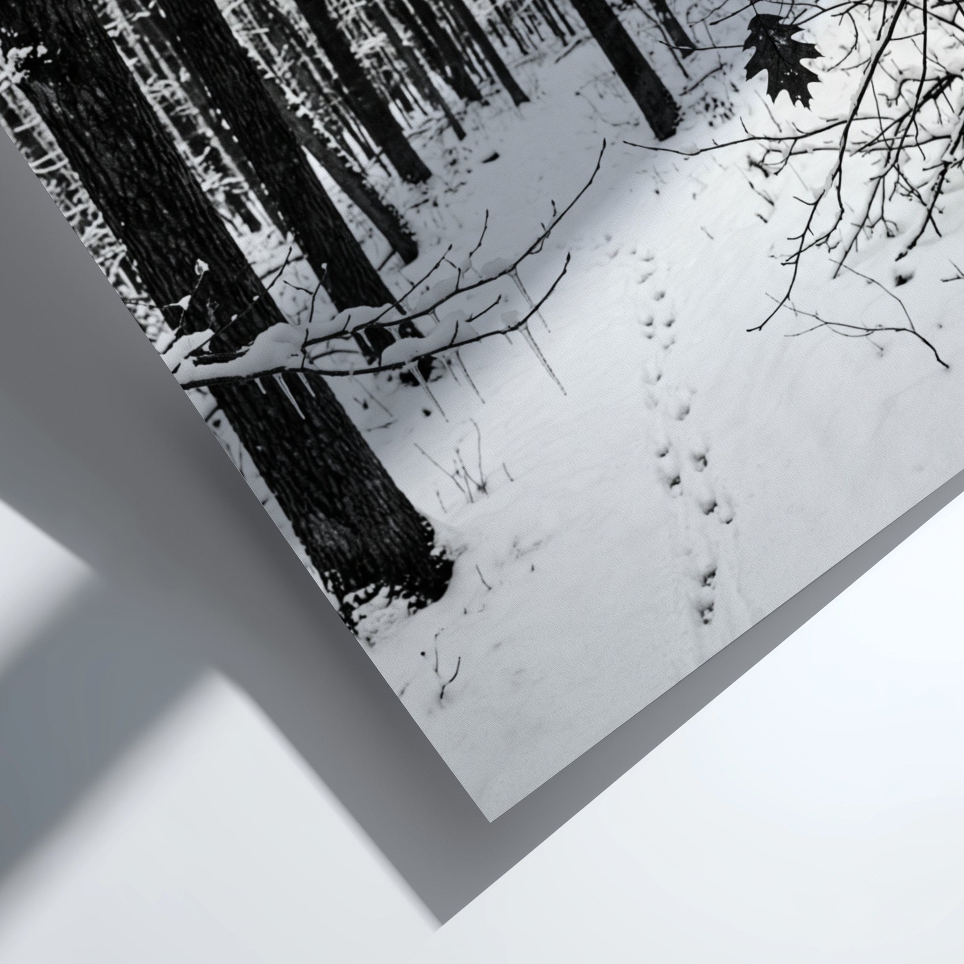Framed wall decor showing a snowy forest winter landscape with tall bare trees and fresh white snow