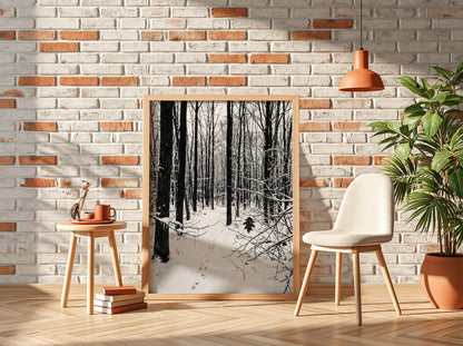 Framed wall decor showing a snowy forest winter landscape with tall bare trees and fresh white snow