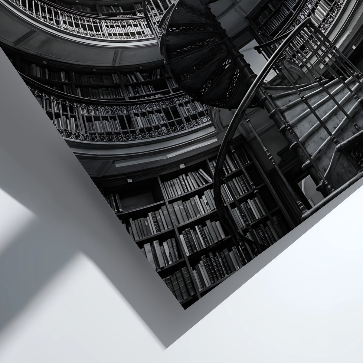 black and white poster featuring spiral staircase inside circular library with iron railings and skylight