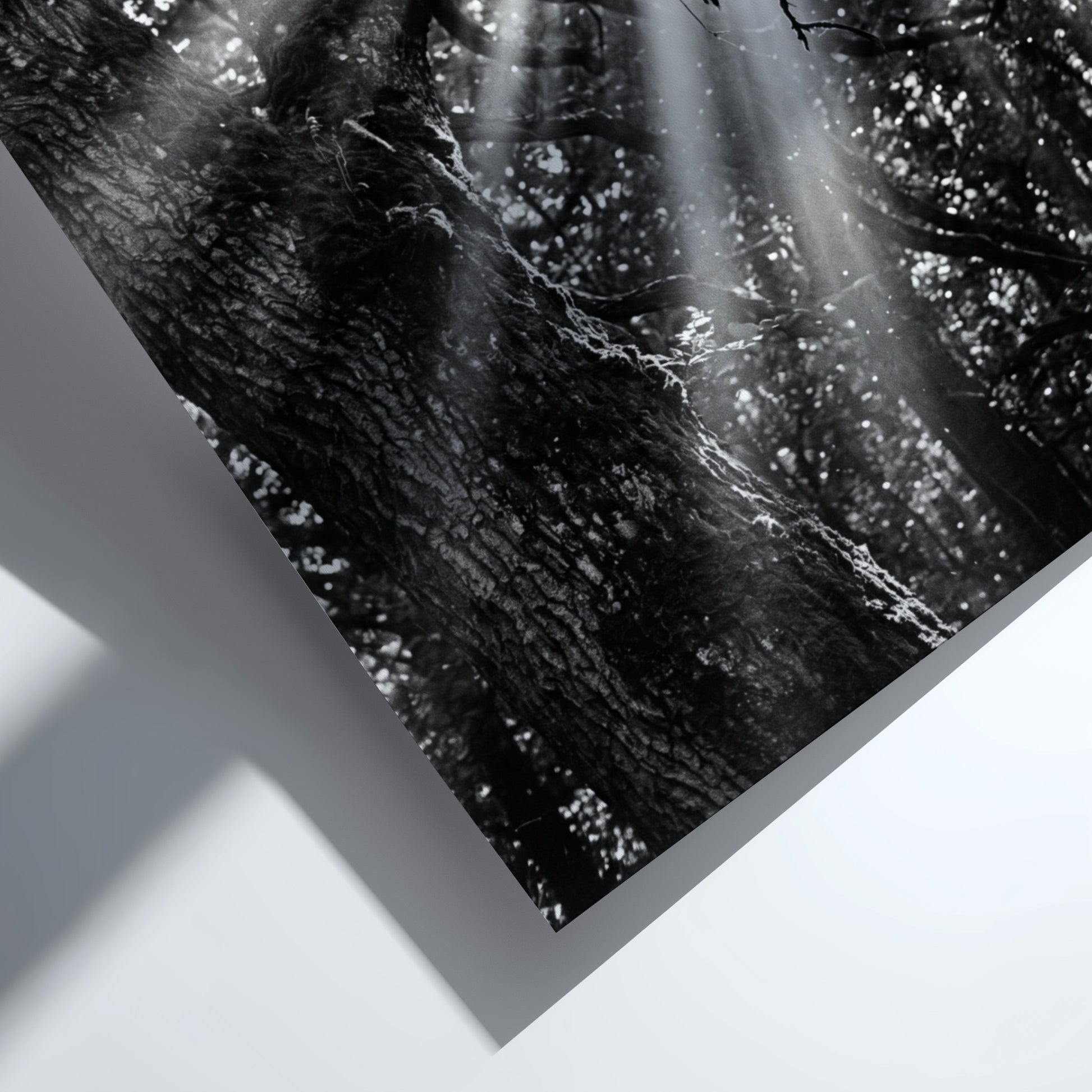 Black and white wall decor showing sunlight beams breaking through dense forest trees and branches