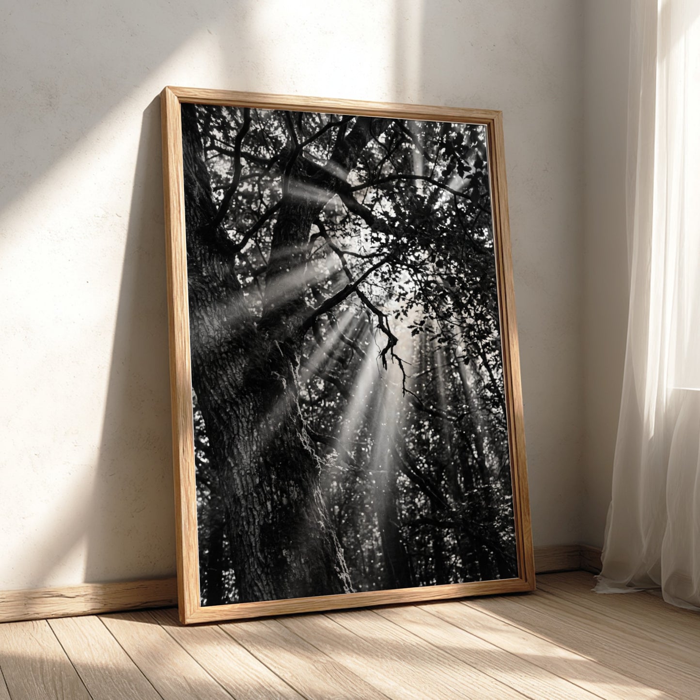 Black and white wall decor showing sunlight beams breaking through dense forest trees and branches
