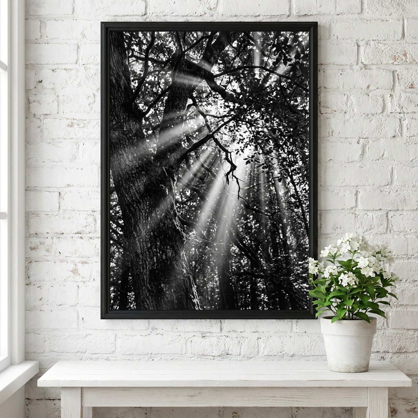 Black and white wall decor showing sunlight beams breaking through dense forest trees and branches