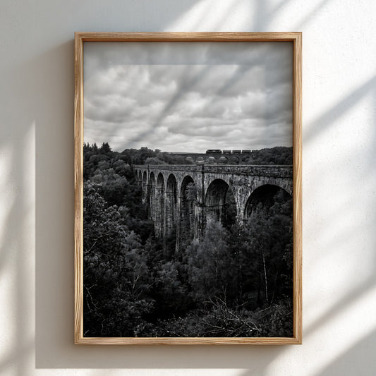 Black and white poster of stone railway viaduct with train crossing over forest under cloudy sky