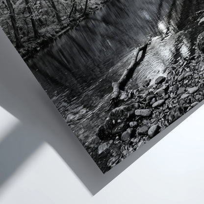 Black and white wall decor featuring trees leaning over a forest river with rocky shore and reflective water