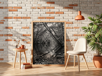 Black and white wall decor featuring trees leaning over a forest river with rocky shore and reflective water