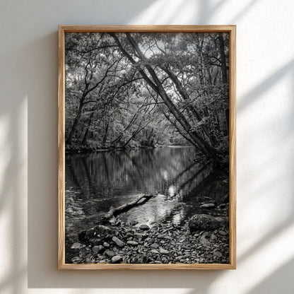 Black and white wall decor featuring trees leaning over a forest river with rocky shore and reflective water