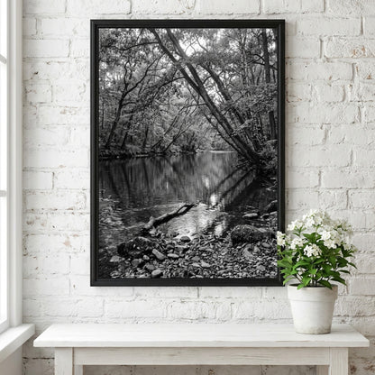 Black and white wall decor featuring trees leaning over a forest river with rocky shore and reflective water