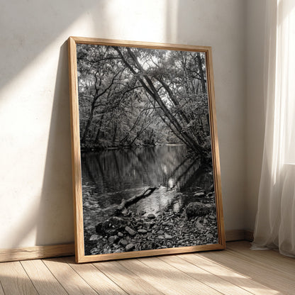 Black and white wall decor featuring trees leaning over a forest river with rocky shore and reflective water