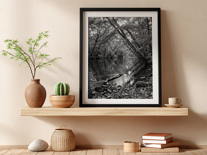 Black and white wall decor featuring trees leaning over a forest river with rocky shore and reflective water