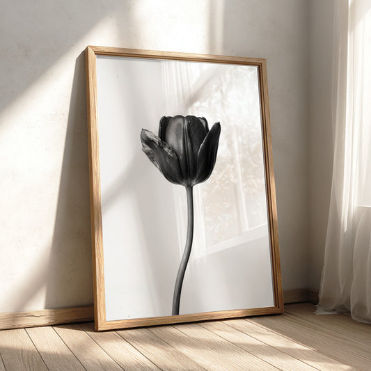 Black tulip flower wall decor with minimalist monochrome style on white background