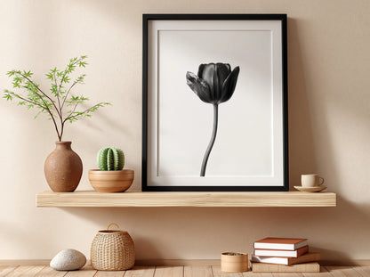 Black tulip flower wall decor with minimalist monochrome style on white background