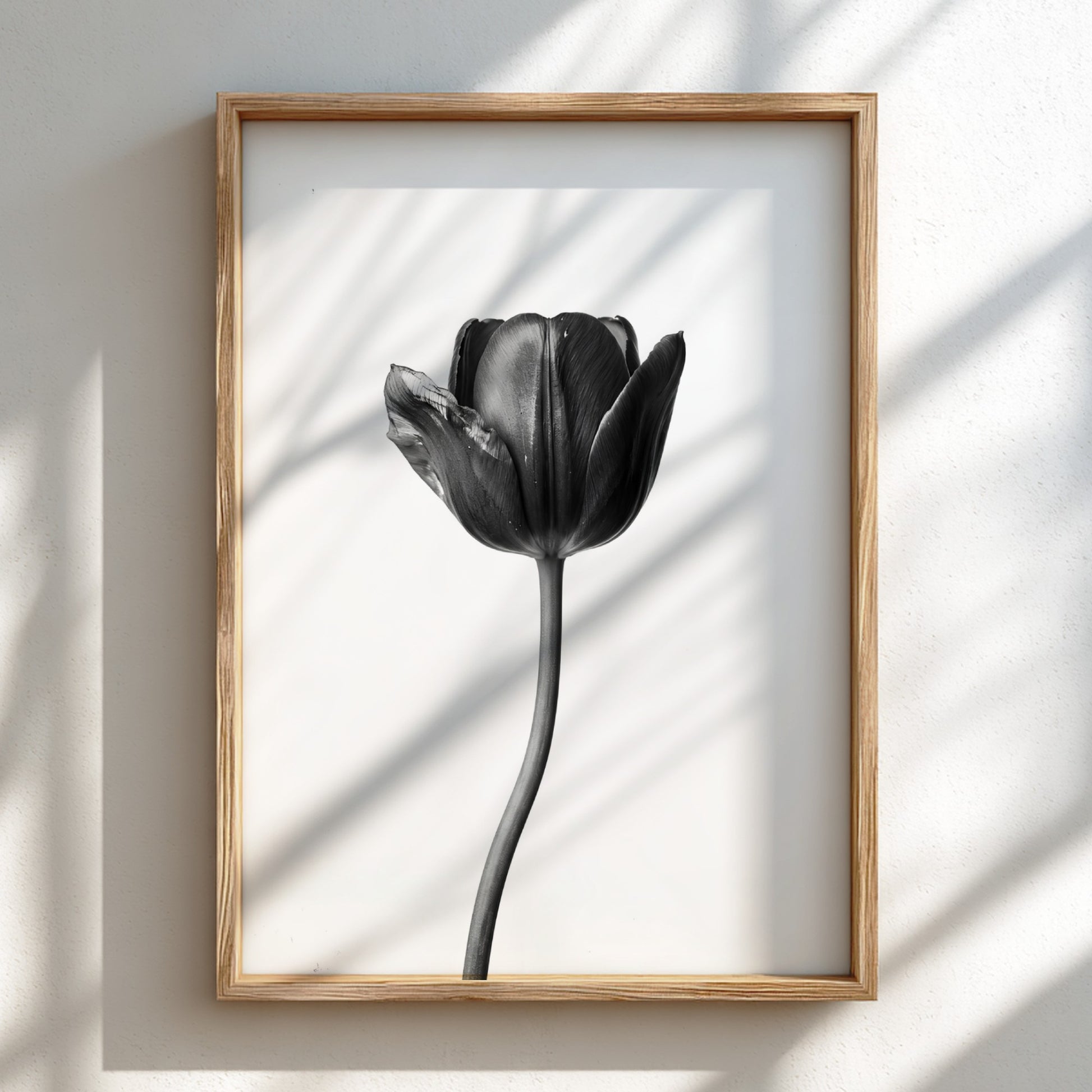 Black tulip flower wall decor with minimalist monochrome style on white background