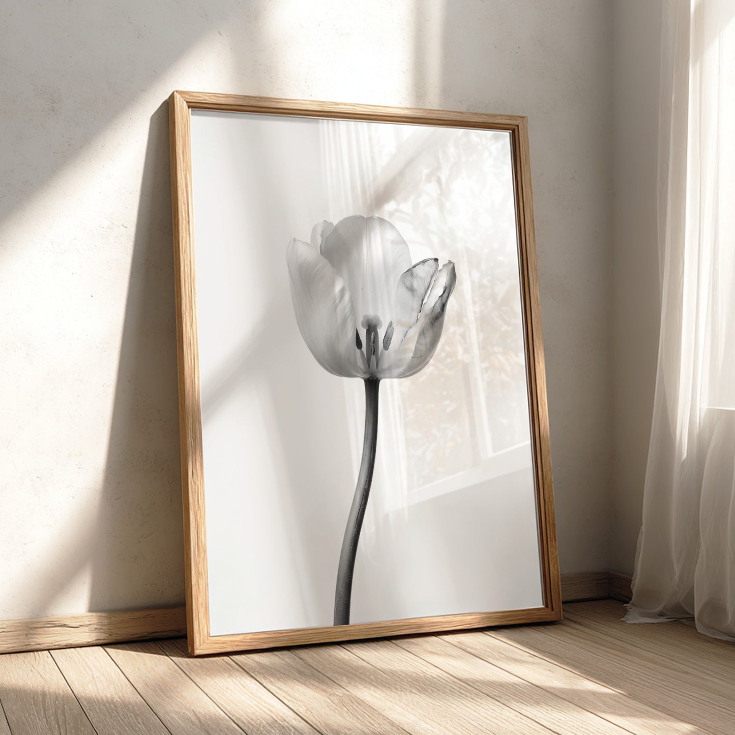 Wall decor poster featuring a monochrome tulip stem on white background with soft shadows