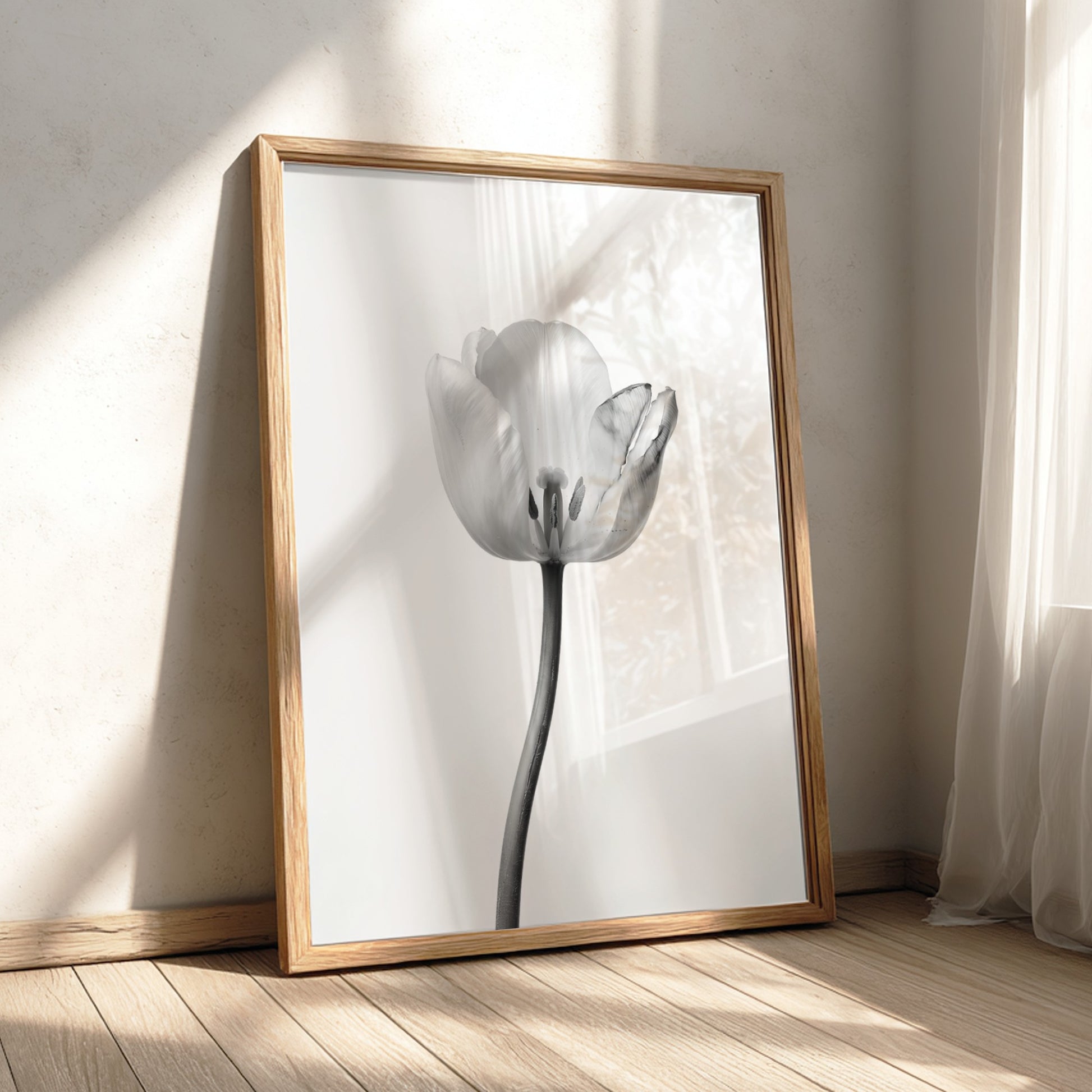 Wall decor poster featuring a monochrome tulip stem on white background with soft shadows