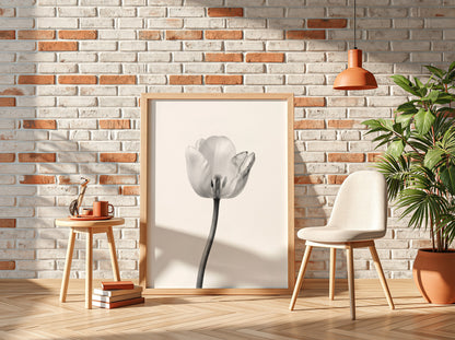 Wall decor poster featuring a monochrome tulip stem on white background with soft shadows