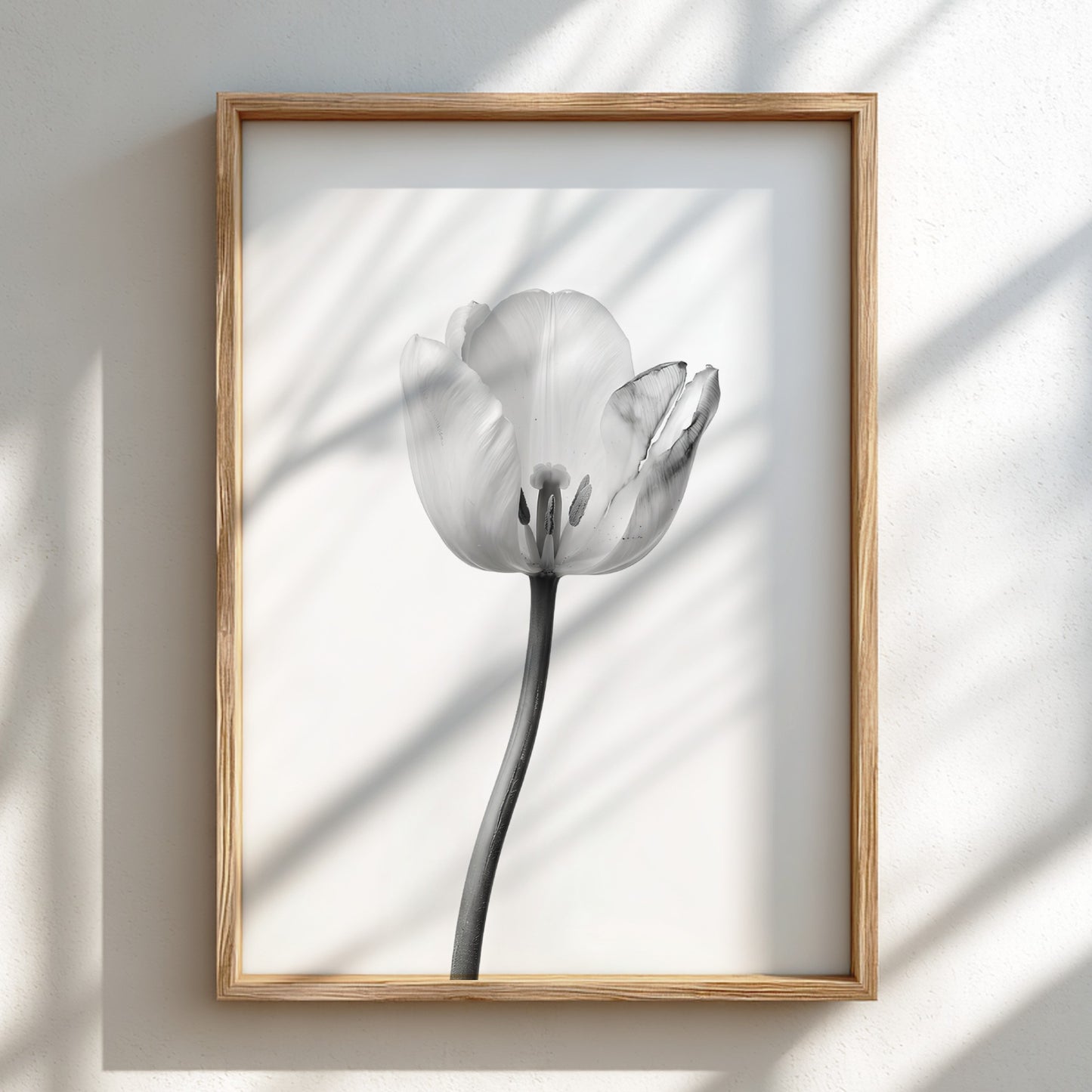 Wall decor poster featuring a monochrome tulip stem on white background with soft shadows