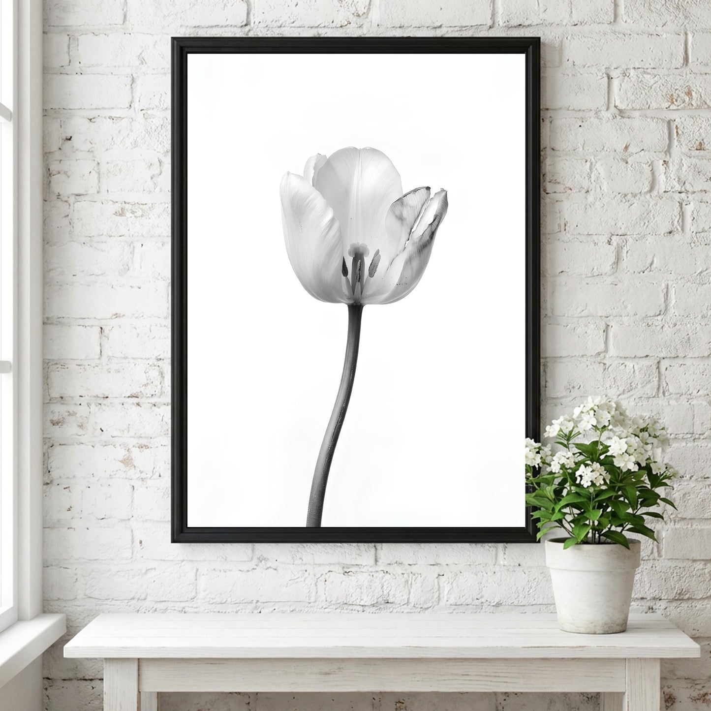 Wall decor poster featuring a monochrome tulip stem on white background with soft shadows