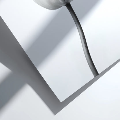 Wall decor poster featuring a monochrome tulip stem on white background with soft shadows