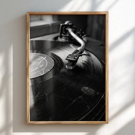 photographic wall decor showing black and white close-up of turntable needle on vinyl record