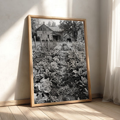 Wall decor black and white photo of vegetables growing in farmhouse garden with rustic buildings